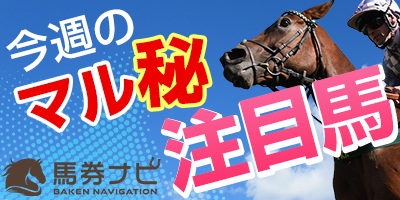 馬券ナビ